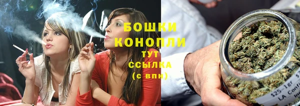 ГАЛЛЮЦИНОГЕННЫЕ ГРИБЫ Алексеевка
