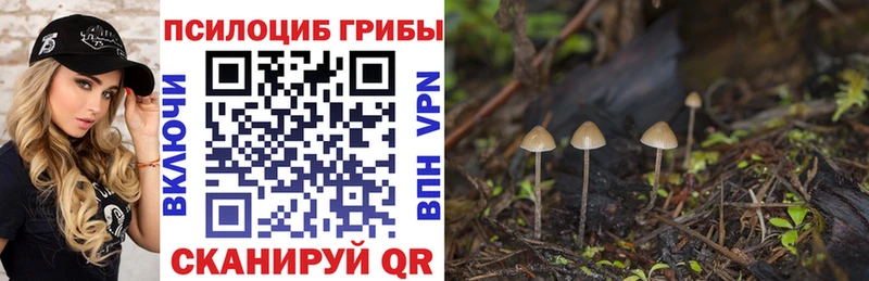 Псилоцибиновые грибы Cubensis  Выкса 